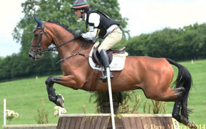 Duarte Seabra Albano Z Participa No Mundial De Cavalos Novos De CCE