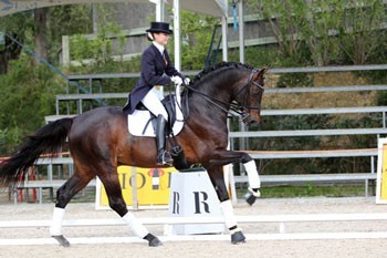 Catarina e Gonçalo em segundo no Circuito Hípico do Sol