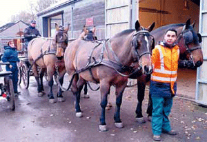 Bruxelas usa carroça puxada por cavalos para o lixo