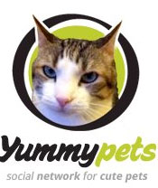 "Yummypets" rede social de animais de estimação