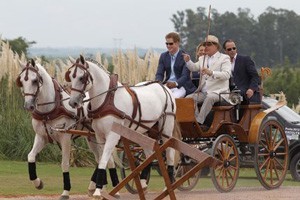 Príncipe Harry chega de charrete a jogo de pólo