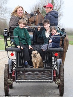 Família troca Land Rover por carroça puxada por Lipizanners