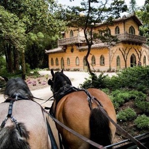 Parque da Pena disponibiliza passeios de charrete