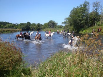 Passeio Equestre de Vila Chã percorrido entre Monte e Rio