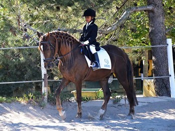 Mini Troféu Dressage Póneis a chegar ao fim…(Actualizada)