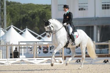 Lusitanos destacam-se no CDN de Vidauban