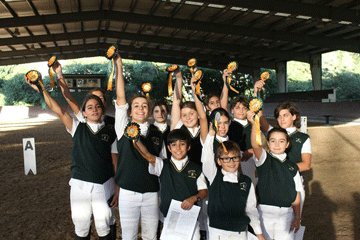 Final do Troféu Dressage Póneis com muitas novidades