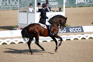 Ranking Mundial de Dressage segue estável : Gonçalo Carvalho entre os 50 melhores