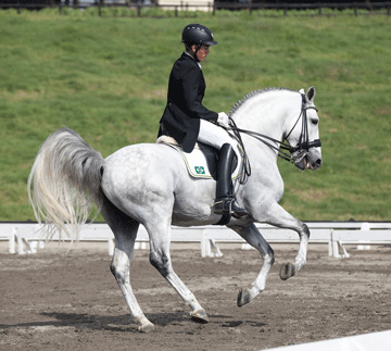 Cavalos Lusitanos nos Jogos Sul Americanos