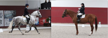 Paradressage nacional, marca presença no maior evento equestre mundial