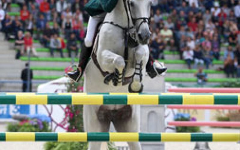 WEG 2014 Sensational Win For Young Irishman Allen EQUISPORT