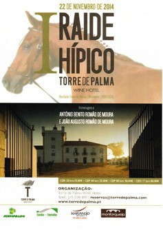 Torre de Palma aposta no desporto equestre
