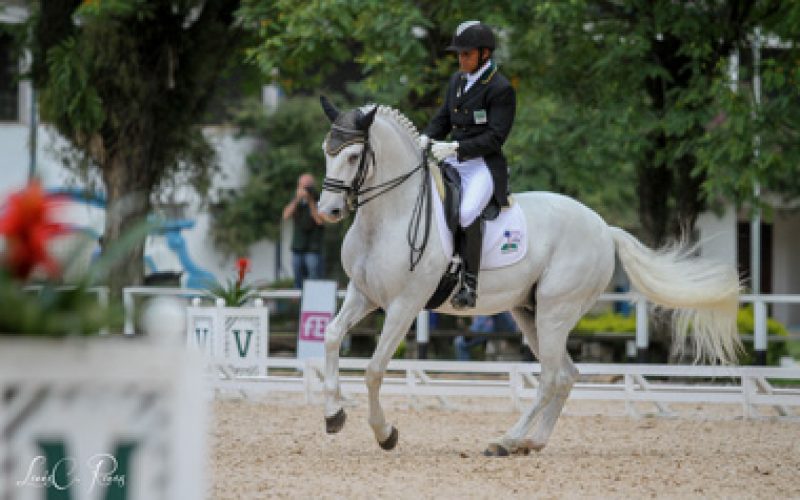 Rogrio Clementino Sagrase Campeo Brasileiro De Dressage 2014 EQUISPORT