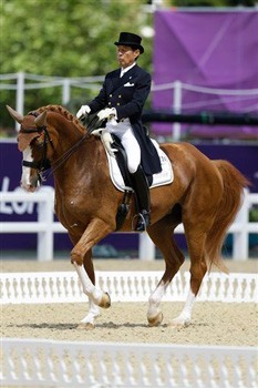 Morreu «Whisper» o cavalo olímpico japonês (VÍDEO)