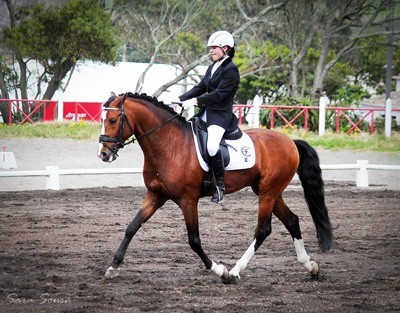 Açores – Campeonato Regional de Dressage (CRAD) – Jornadas de Apuramento