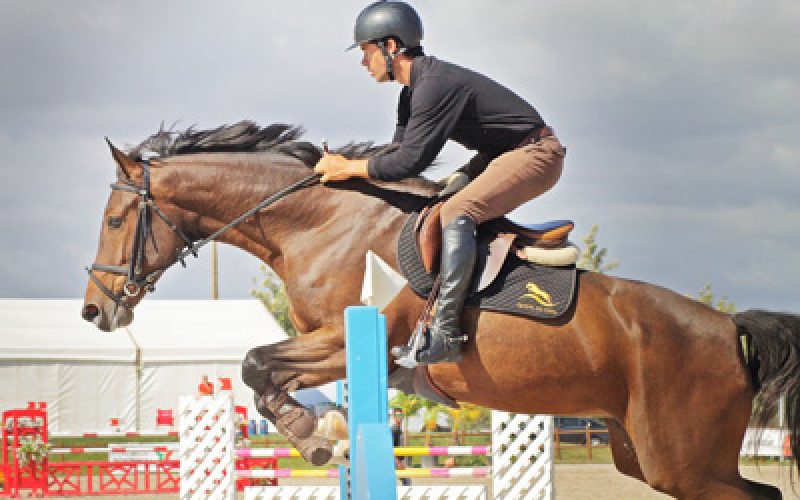 CSIOliva Nova Comeou O Mediterranean Equestrian Tour Em Espanha