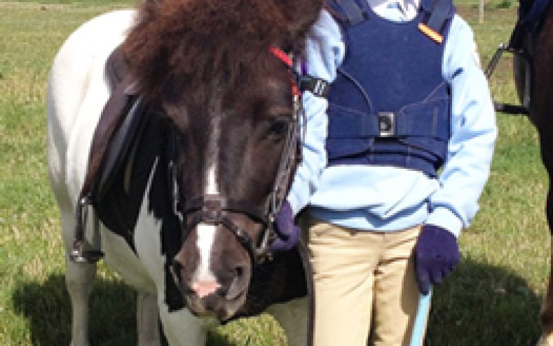 Coice De Cavalo Mata Menina De 9 Anos EQUISPORT