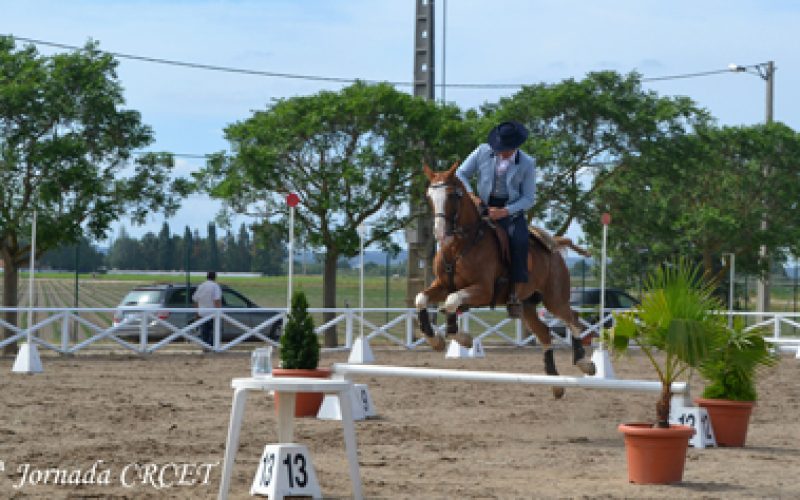 Resultados 2 Jornada Do Campeonato Regional De Equitao De Trabalho