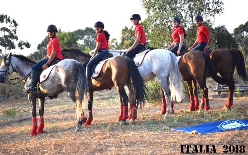 Mundial TREC 2018 Os 5 Cavalos Portugueses Passam No Vetcheck Em