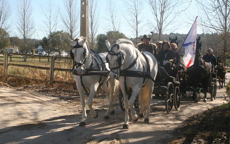 Passeio De Ano Novo Dos Scios Da APA EQUISPORT