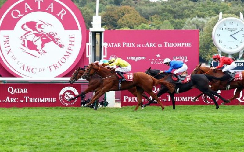 Qatar Prix De LArc De Triomphe Eleita A Melhor Corrida De Cavalos Do