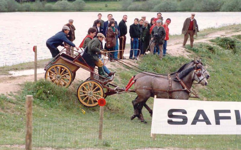 Joo Fiza Cabral Da Silveira Eleito Scio Honorrio Da APA EQUISPORT