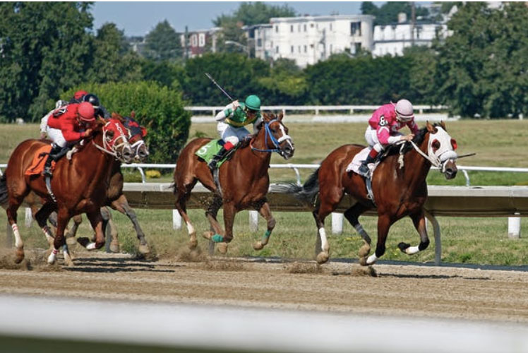 Apostar em Cavalos: guia de apostas online de 2023