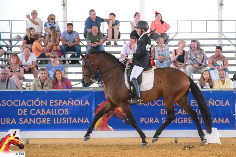 «Norio» Campeón de Campeones de España